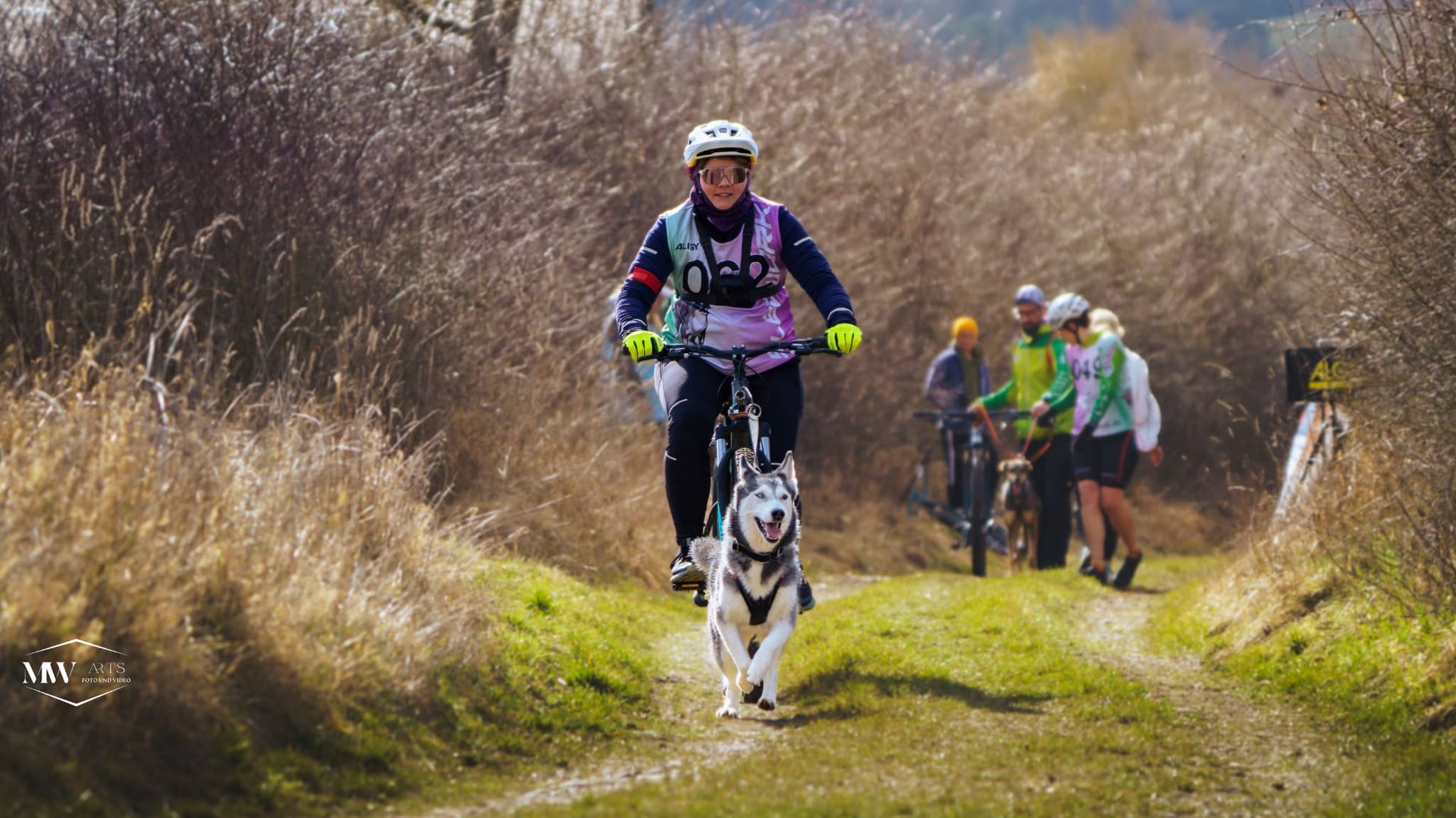 Dogscooter beim Zughundesport mit Hund